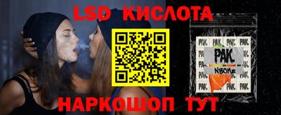 стафф Камышлов