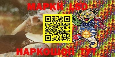 стафф Камышлов