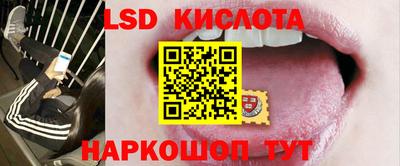стафф Камышлов