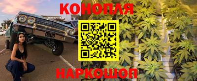 шишки Кандалакша
