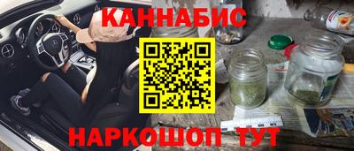 шишки Кандалакша
