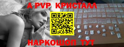 шишки Кандалакша