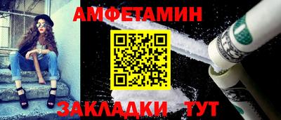 шишки Кандалакша
