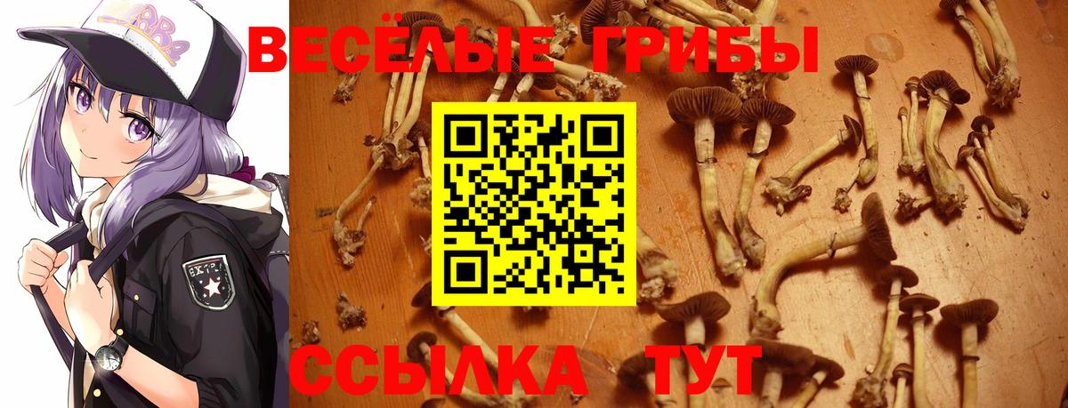 Галлюциногенные грибы мицелий  Вход с VPN  хочу наркоту  Светлоград 