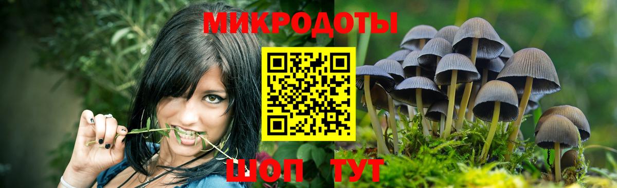 Галлюциногенные грибы Psilocybine cubensis Светлоград